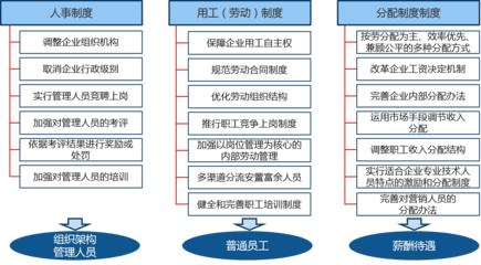 三项制度改革驱动下企业管理信息咨询服务的创新与发展
