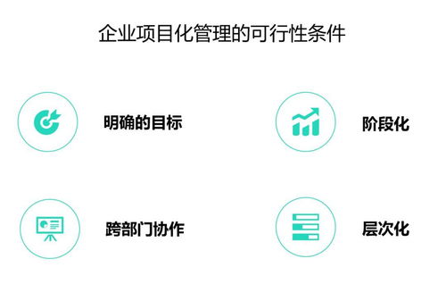 企业项目化管理成功落地的关键路径与咨询服务支撑